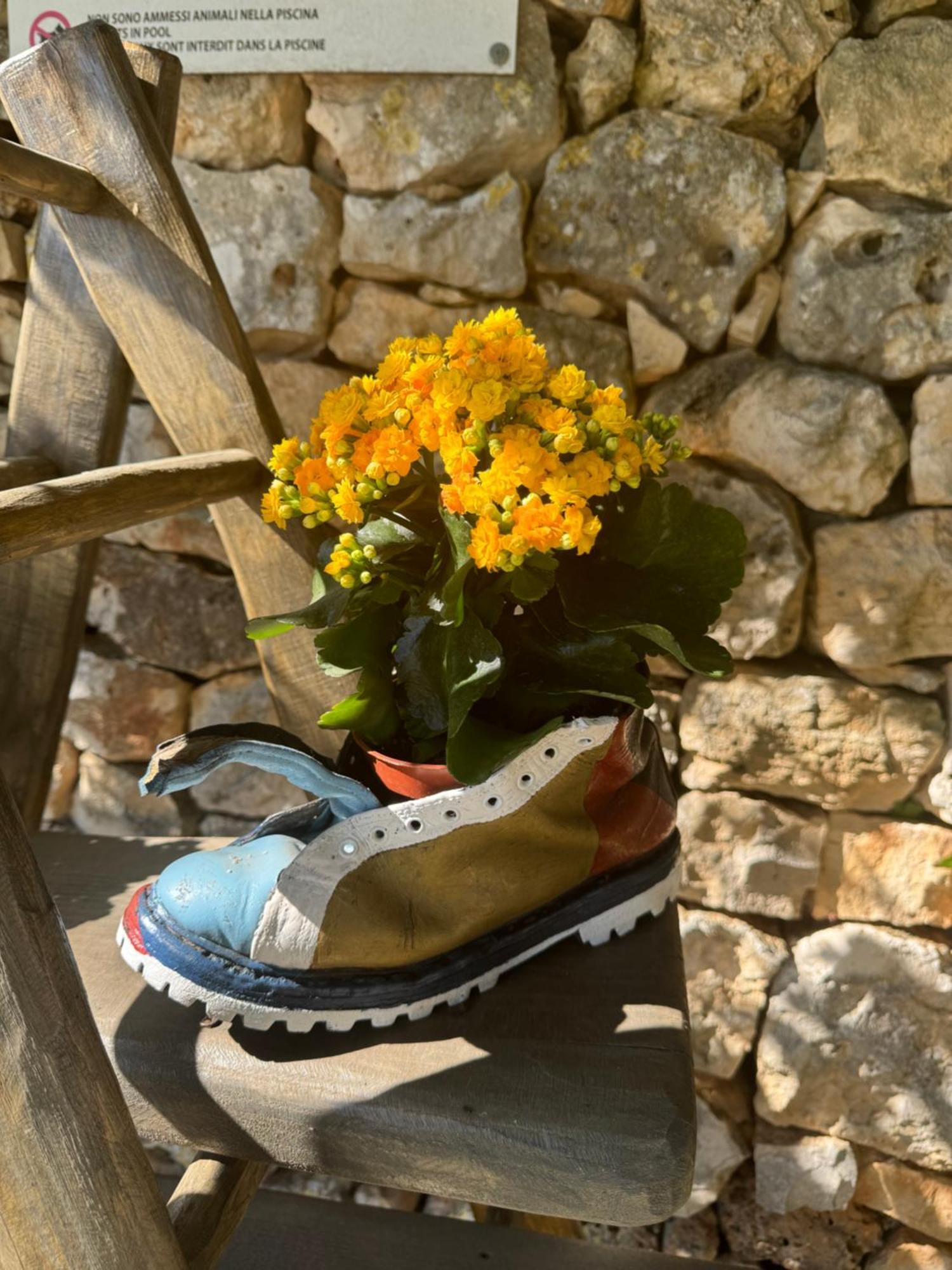 Trulli Bosco Selva Apartman Alberobello Kültér fotó
